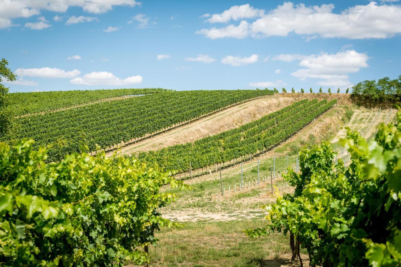 Weingut Burger Hotel Kalladorf Екстериор снимка